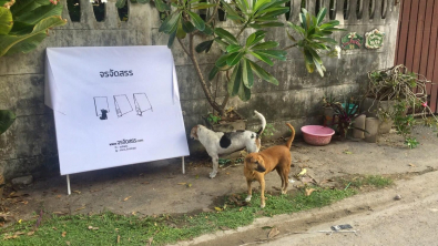 Illustration : "En Thaïlande, un homme réutilise des panneaux publicitaires afin de les transformer en abris pour les chiens errants"