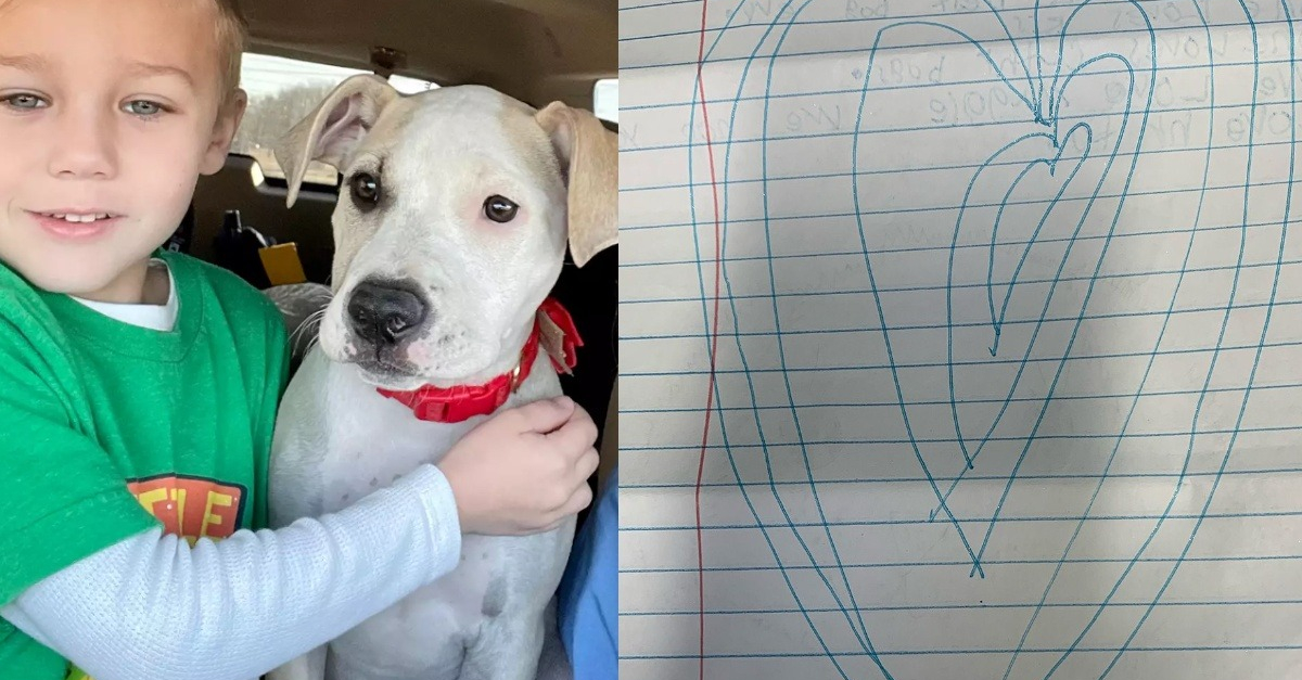 Un garçon de 6 ans a écrit des lettres émouvantes aux futurs adoptants du  chien dont il s'était occupé avec sa famille