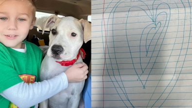 Illustration : Un garçon de 6 ans a écrit des lettres émouvantes aux futurs adoptants du chien dont il s’était occupé avec sa famille