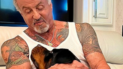 Illustration : "Le célèbre Sylvester Stallone partage la photo d’un chiot en pleine guerre d’Ukraine sur ses réseaux sociaux"