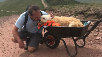 Illustration : "Atteint d’une leucémie en phase terminale, ce chien entame sa dernière aventure aux côtés de son maître"