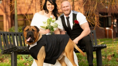Illustration : "Un couple décide d’avancer la date de son mariage, pour que son chien en fin de vie puisse y participer"
