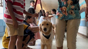 Illustration : "Des écoliers disent au revoir à Mazie, chienne de thérapie qui a marqué leur scolarité (vidéo)"