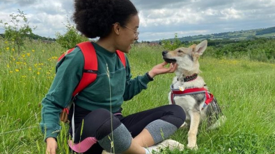 Illustration : "Cette jeune femme partage sa vie avec un chien possédant 30 % d’ADN de loup"