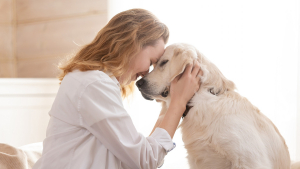 Illustration : "Choisir la race de son chien"