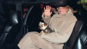 Illustration : "Comme un 6e sens, la chienne du regretté Jean-Paul Belmondo avait pressenti le danger lors d’un tournage (vidéo)"