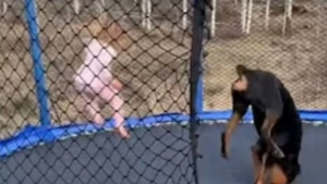 Illustration : "Une scène de jeu acrobatique entre une fillette et une Rottweiler devient virale sur les réseaux sociaux (vidéo)"