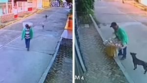 Illustration : "Vidéo : Une caméra de surveillance enregistre un acte de grande bonté d’un homme envers des chiens errants"