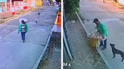 Illustration : "Vidéo : Une caméra de surveillance enregistre un acte de grande bonté d’un homme envers des chiens errants"