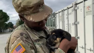 Illustration : "Une sergent de l’armée remue ciel et terre pour sauver le chiot qu’elle a rencontré en mission "