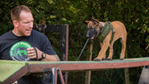 Illustration : "Un Berger Belge Malinois formé pour protéger les rhinocéros et éléphants en voie de disparition contre les braconniers"