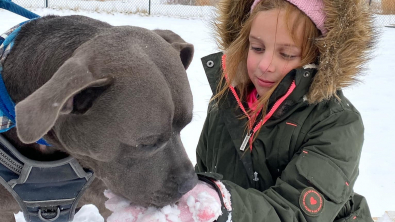 Illustration : "Une fillette rend hommage à son papa décédé en sponsorisant l’adoption d’un chien de refuge"