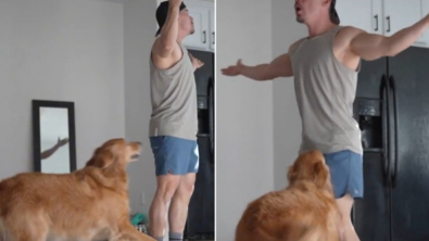 Illustration : "La vidéo amusante de jeu de cache-cache entre une chienne et sa propriétaire devient virale sur TikTok"
