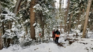 Illustration : "Des sauveteurs bénévoles viennent en aide à 2 campeurs, dont le chien a disparu dans la montagne, bravant le froid et la neige"