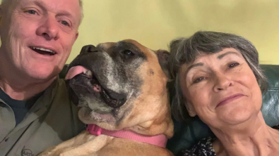 Illustration : "Un couple adopte une chienne âgée et malade pour lui offrir une belle fin de vie"
