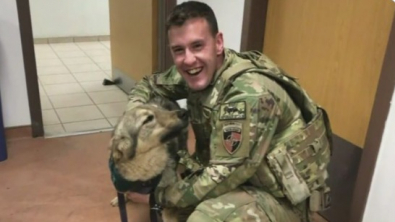 Illustration : "A son retour au pays, un militaire américain est accueilli par le chien dont il est tombé amoureux pendant sa mission en Afghanistan"