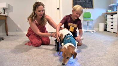 Illustration : "Ce garçon fabrique un fauteuil roulant pour le chien de sa maîtresse de CM2"