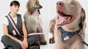 Illustration : "French Bandit x Lancel : une collaboration haute couture pour des accessoires tendance destinés aux chiens et chats"