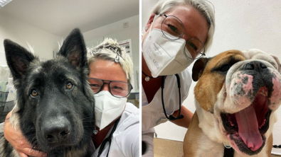 Illustration : 19 photos de surprenantes et belles rencontres canines faites chez le vétérinaire