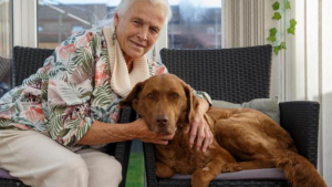 Illustration : "Une retraitée de 79 ans décide d’utiliser toutes ses économies pour sauver son chien atteint d’une maladie grave "