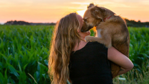 Illustration : "20 photos de Tofu, chienne de refuge férue de promenades aux bras de sa maîtresse"