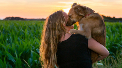 Illustration : "20 photos de Tofu, chienne de refuge férue de promenades aux bras de sa maîtresse"