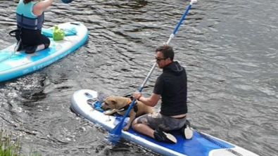 Illustration : Un duo de sauveteurs sur paddle secourt un malheureux toutou emporté par le courant