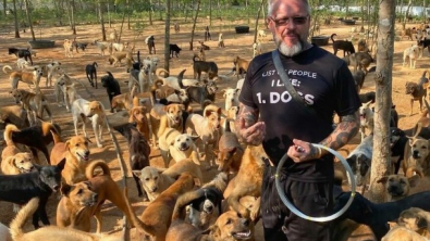 Illustration : Ce restaurateur suédois, installé en Thaïlande, y a créé un refuge qui a déjà pu venir en aide à plus de 2 000 chiens et chats errants