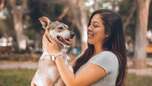 Illustration : "Pets Genius : la nouvelle plateforme pour tester gratuitement des produits de qualité et gâter votre animal"