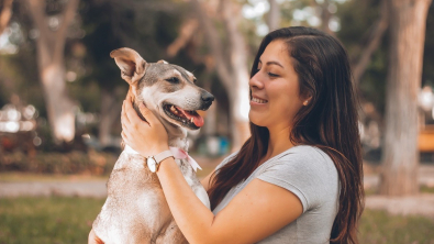 Illustration : "Pets Genius : la nouvelle plateforme pour tester gratuitement des produits de qualité et gâter votre animal"