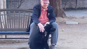 Illustration : "Un chien disparaît dans un parc canin et sa propriétaire le retrouve dans la plus adorable des situations (vidéo)"