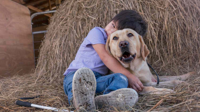 Illustration : "Ce Labrador a changé la vie d'un petit garçon autiste et aveugle"
