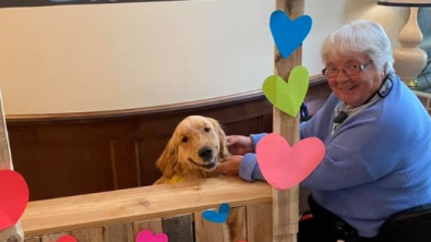 Illustration : "Parker, le Golden Retriever au grand cœur : comment ce chien redonne le sourire aux résidents d'une maison de retraite"