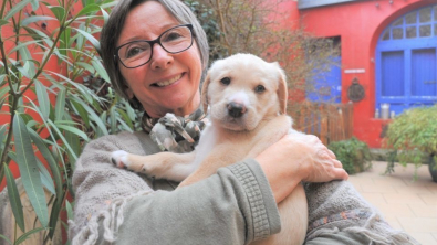 Illustration : "En Gironde, une femme trouve un chiot abandonné alors qu'il venait tout juste de naître"