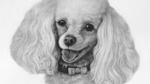 Illustration : "20 magnifiques portraits de chiens plus vrais que nature réalisés par une artiste hors du commun"