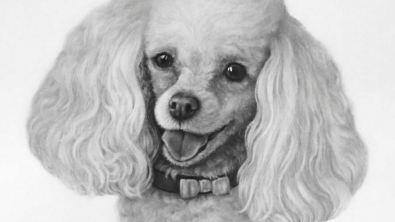 Illustration : 20 magnifiques portraits de chiens plus vrais que nature réalisés par une artiste hors du commun