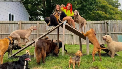 Illustration : Ces jeunes femmes vivent la vie dont elles ont toujours rêvé, en compagnie de 30 chiens (vidéo)