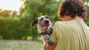 Illustration : "Gérer l'adolescence du chien"