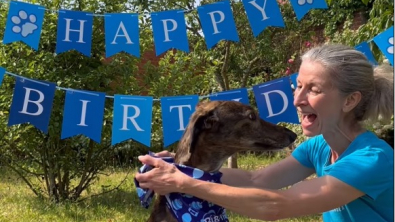 Illustration : "Des bénévoles organisent une fête d’anniversaire pour Perry, le chien Lurcher qui a déjà passé plus de 600 jours au refuge (vidéo)"