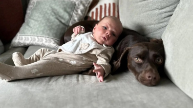 Illustration : "Ce couple décide de laisser à leur chien le choix du prénom de leur futur enfant "