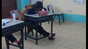 Illustration : "Le parcours touchant de Galletita, la petite chienne abandonnée qui a trouvé refuge dans une salle de classe"