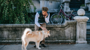 Illustration : "Utiliser son smartphone en promenant son chien nuit à son bien-être mental et à sa sécurité"