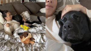 Illustration : "Une femme organise une journée mémorable pour son Labrador malade (vidéo)"