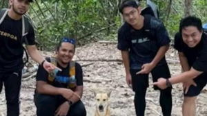 Illustration : "Lors d’une randonnée, ces 5 amis sont rejoints par un chien qui devient leur guide et leur protecteur "