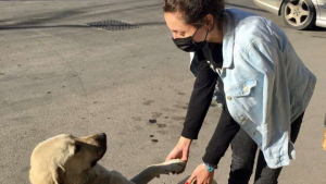 Illustration : "Une femme illumine la journée des chiens errants lorsqu’elle part travailler (vidéo) "