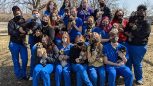 Illustration : "Des étudiants en médecine vétérinaire transforment le destin tragique de chiots voués à l'euthanasie"