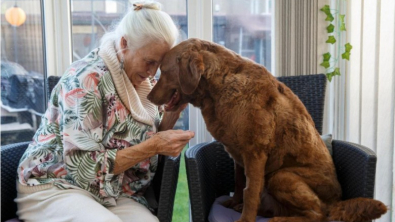Illustration : "Âgée de 79 ans et n’ayant que de faibles revenus, une femme utilise toutes ses économies pour sauver son chien malade"