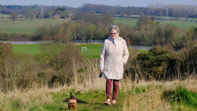 Illustration : "Le comportement inhabituel de ce Yorkshire Terrier alerte sa maîtresse : la chienne avait détecté un cancer "