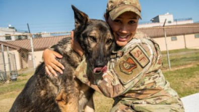 Illustration : Après avoir frôlé la mort, ce chien militaire peut démarrer sa retraite bien méritée 