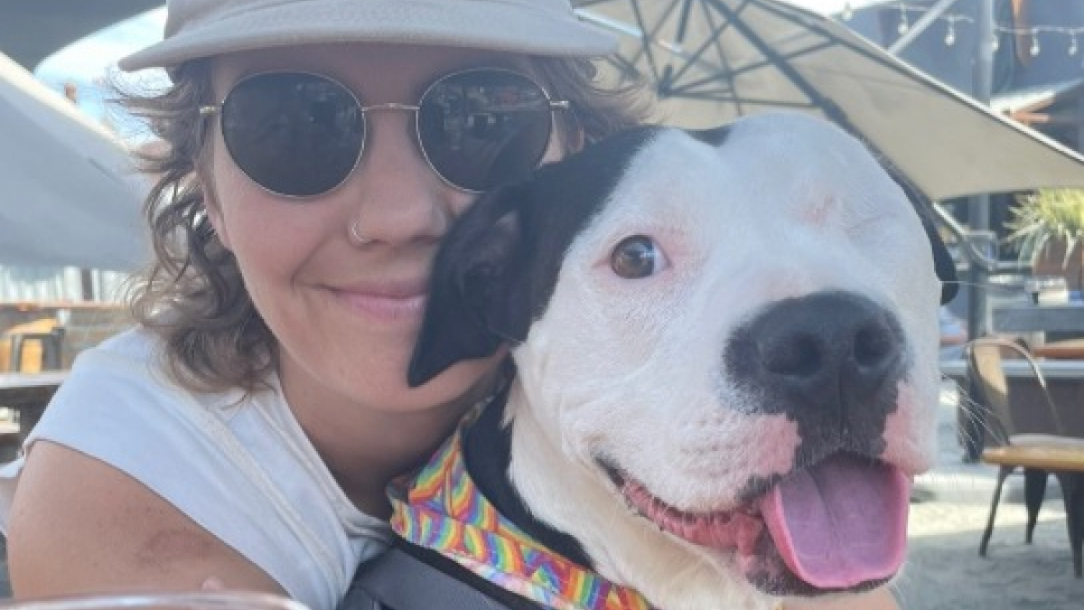 T-shirt Cool Pitbulls Skull - Pour Fans De Chiens Et Propriétaires De Pitbulls